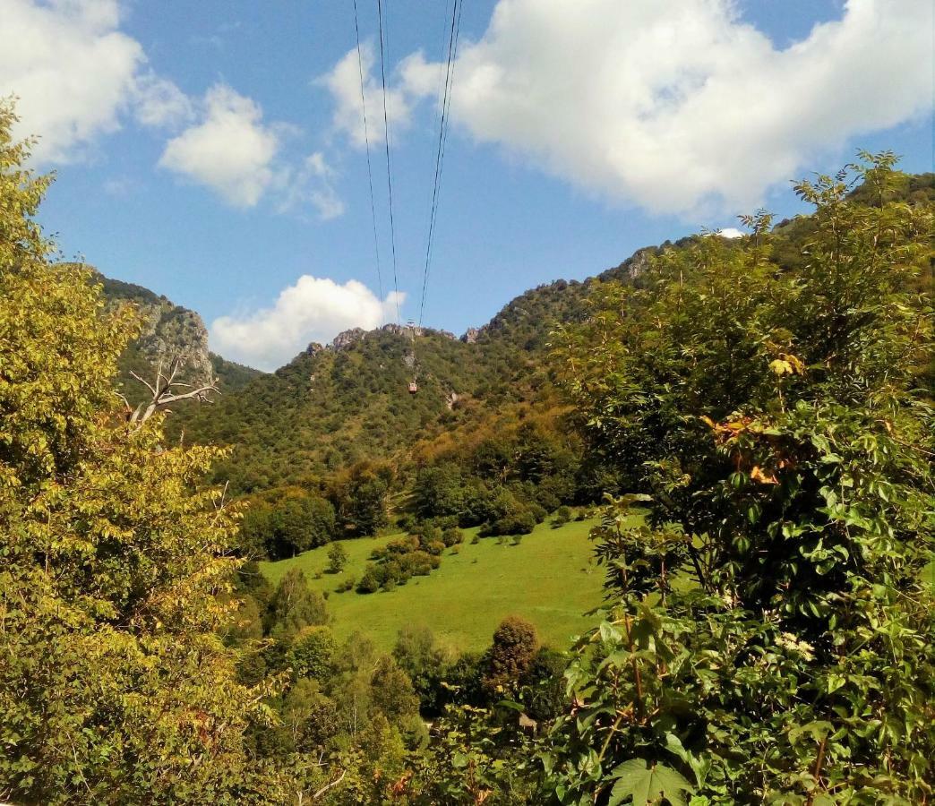 Casa Vacanze Moggio Moggio  Dış mekan fotoğraf